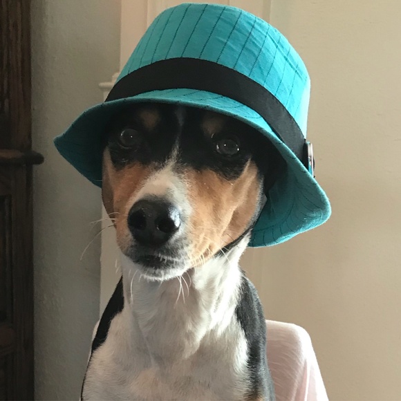 NO clowning around.... - Picture 6 of 16